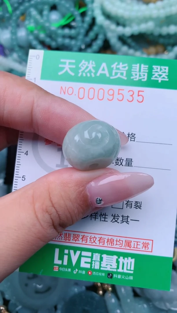 翡翠未镶嵌颈饰.0009535