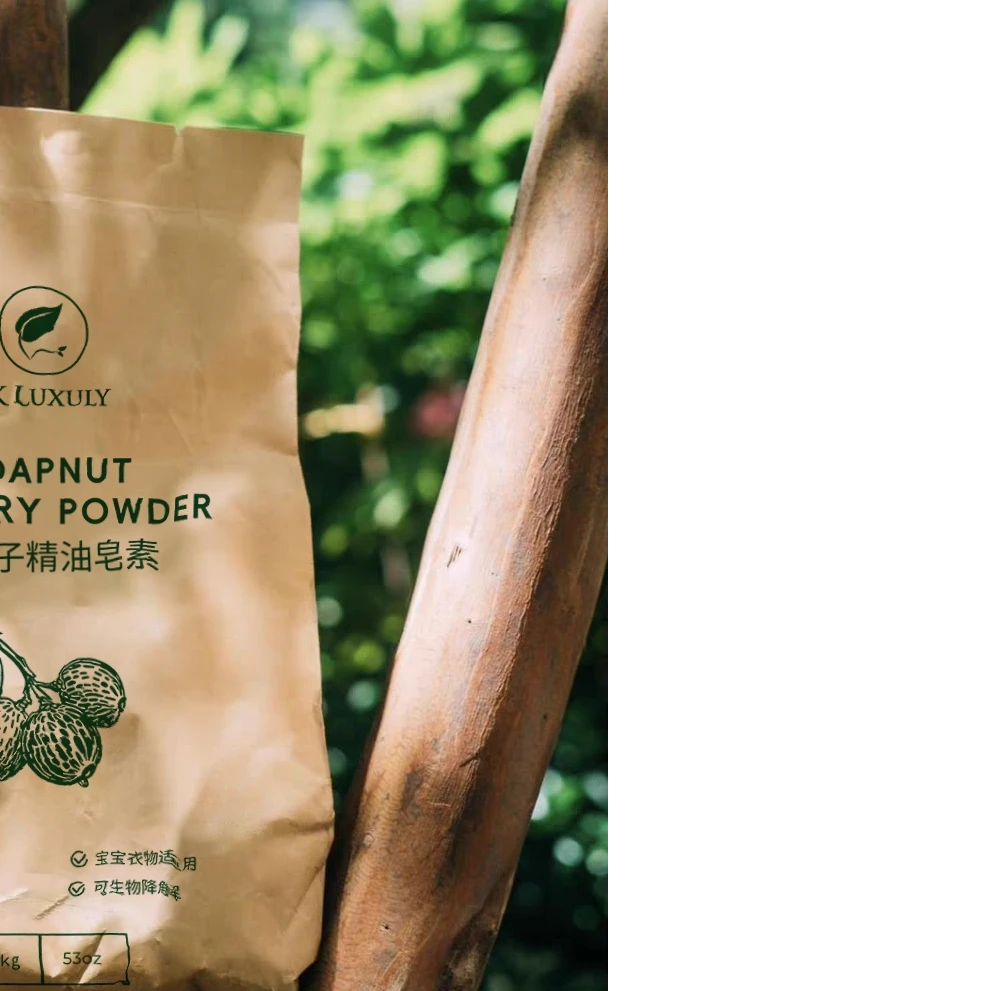 无患子皂英洗衣粉天然植物贴身除螨无患子洗精油皂素【2袋1勺】