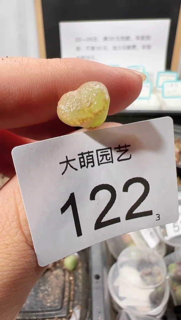 【闪购商品】++++122