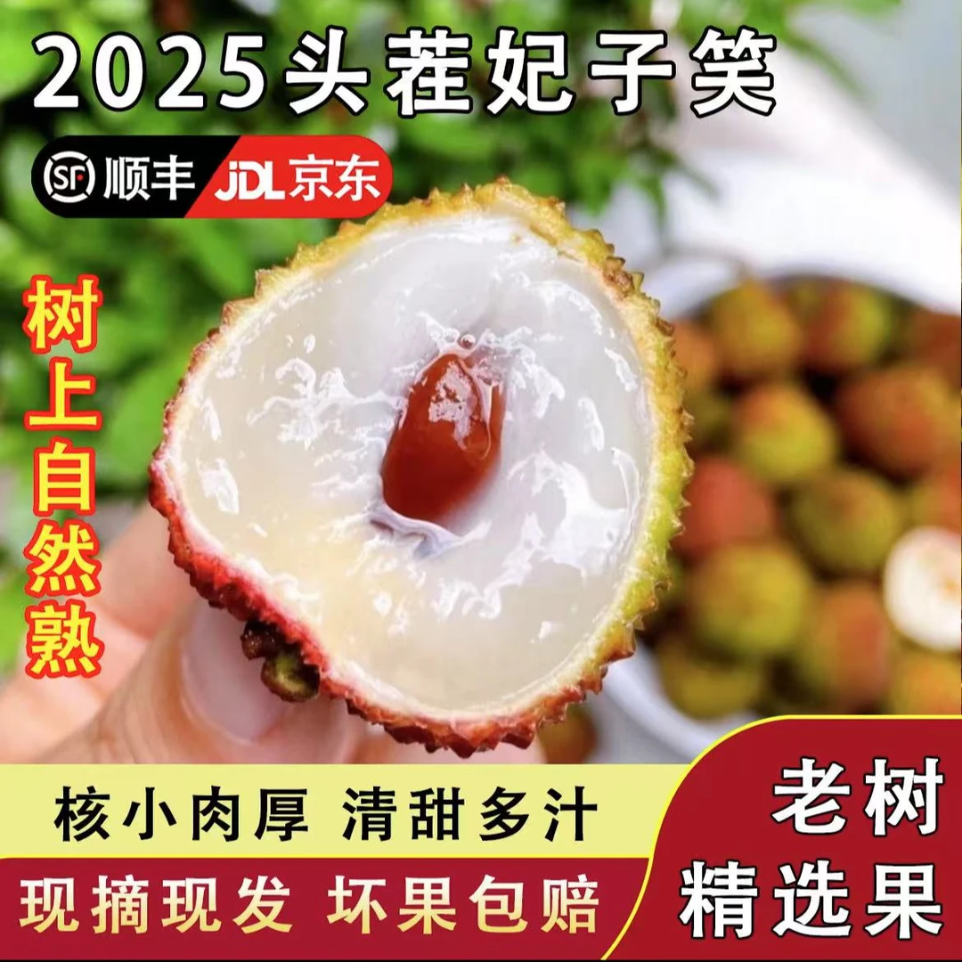 当季限定丨正宗海南妃子笑荔枝 肉厚多汁 空运直达