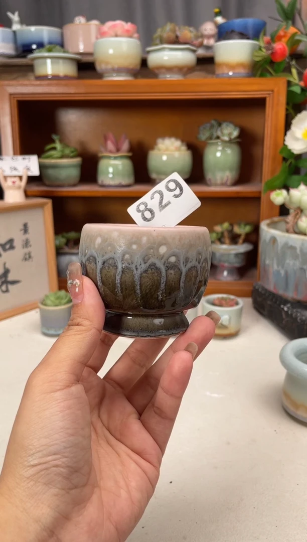瓷片829知木小芳花盆