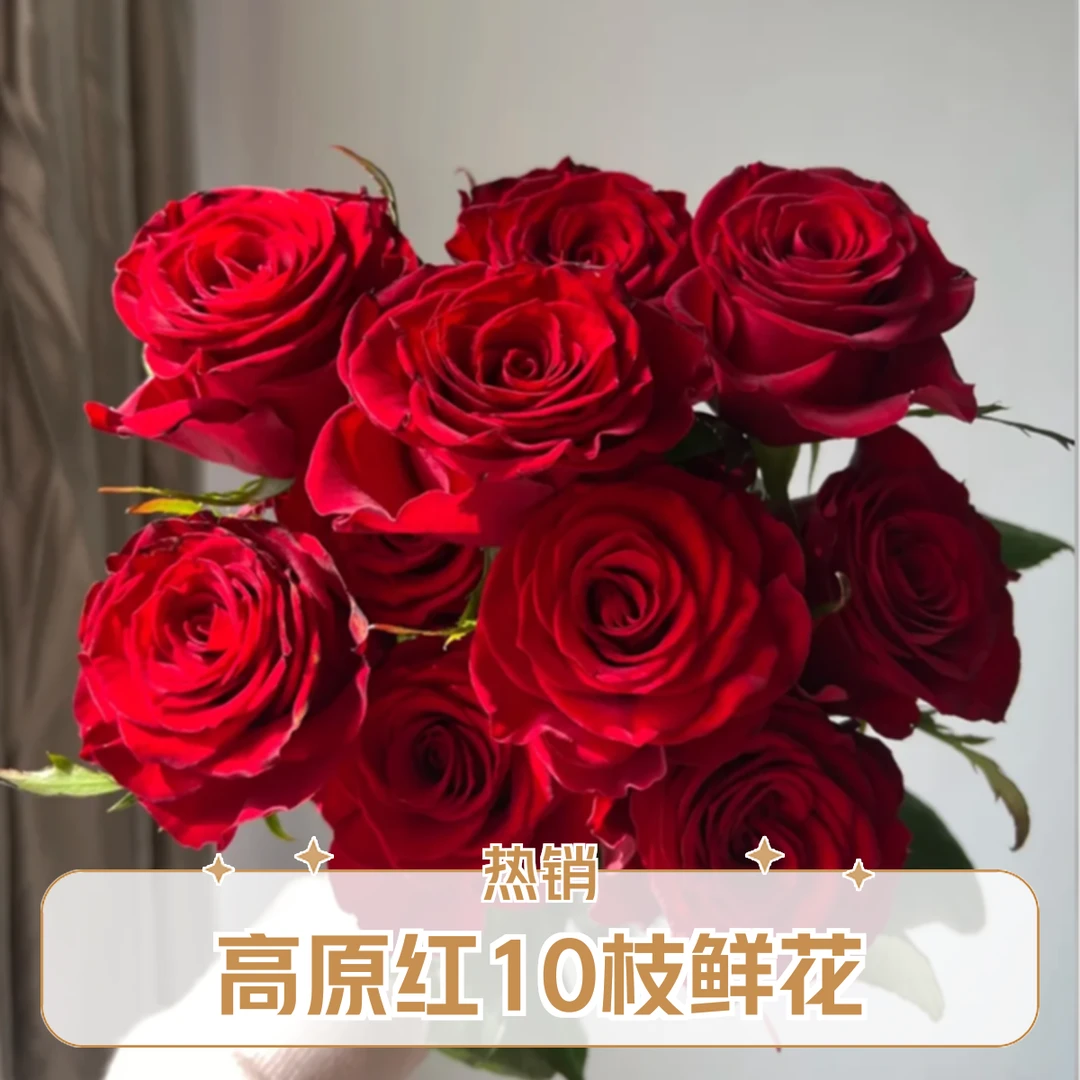 高原红10支鲜花家居花次日达