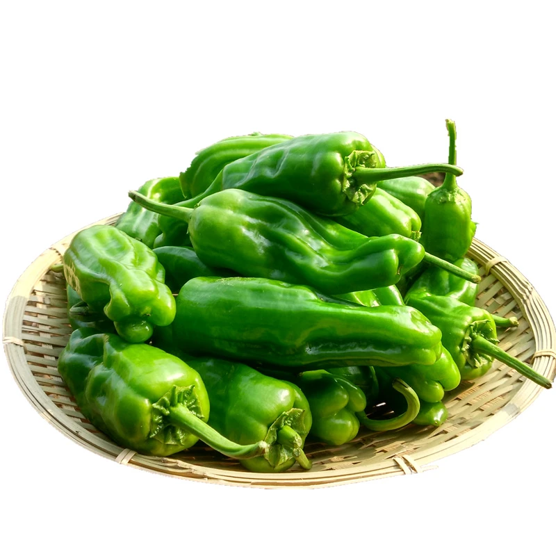 御丰绿色蔬菜青椒 约200g辣椒同城配
