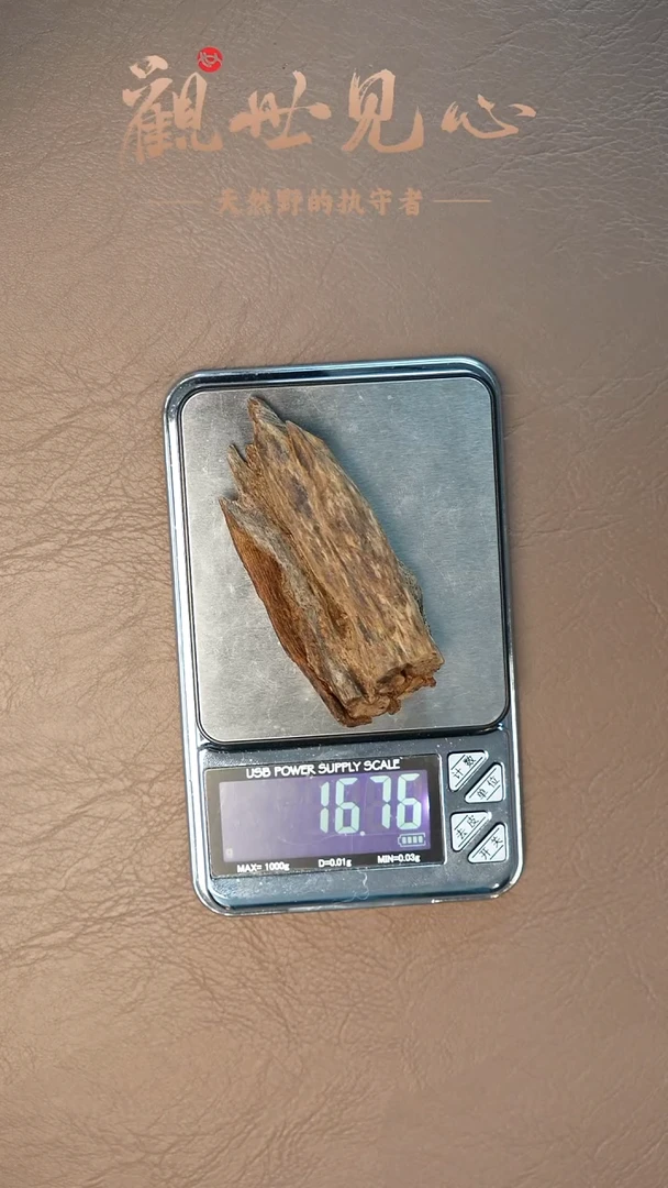 沉香沉香碎屑密支那99沉 16.77g