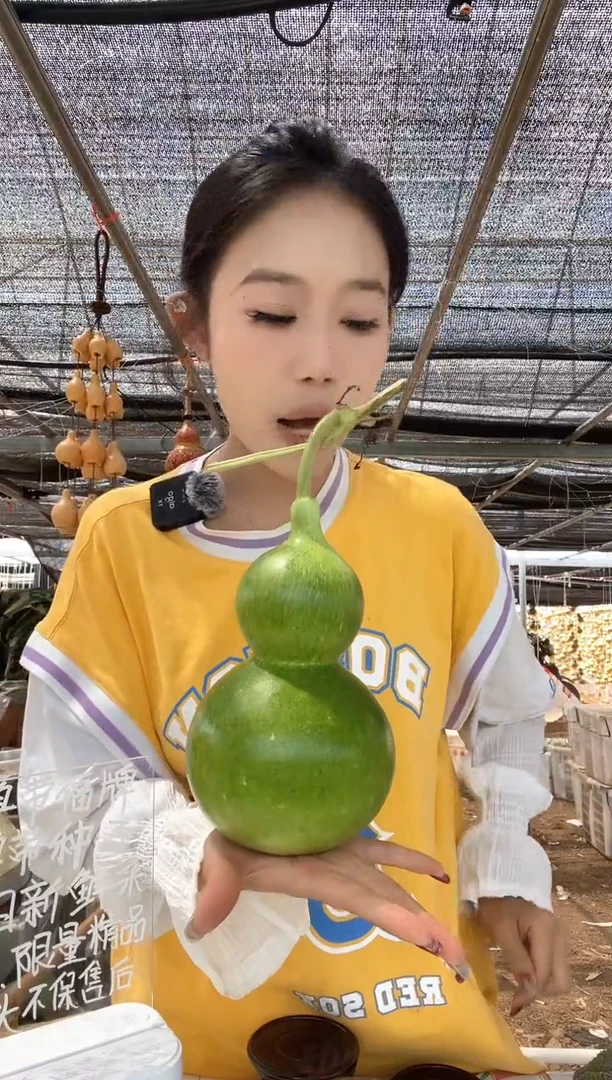 851天然葫芦摆件 一物一拍龙头不保售后