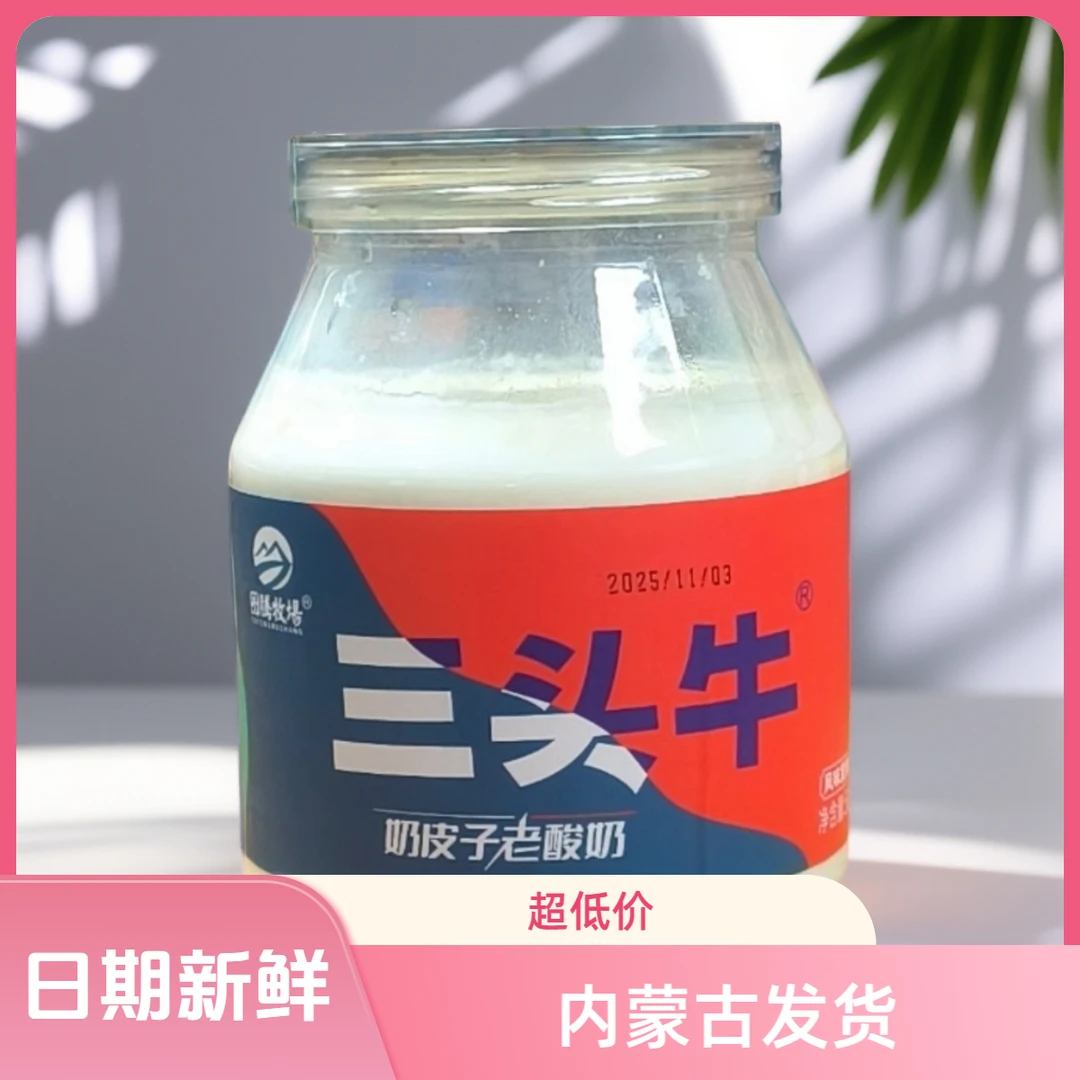 【酸奶奶皮】正宗内蒙草原美食特产奶皮子酸奶发酵老酸奶每罐508克