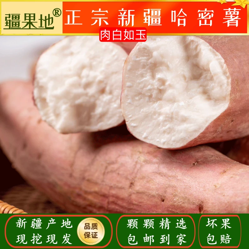 正宗新疆冰糖心哈密薯产地现挖现发包邮到家软糯香甜老少皆宜
