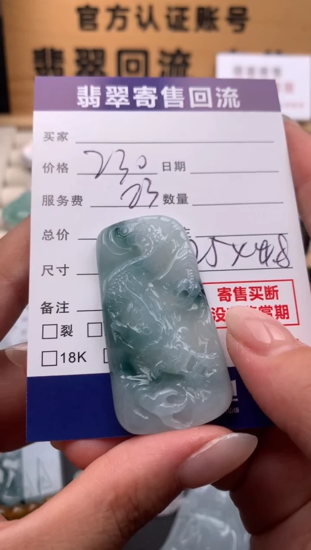 翡翠未镶嵌颈饰10134261