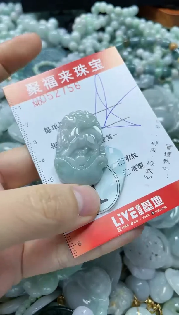 【闪购商品】翡翠颈饰未镶嵌闪购0052756