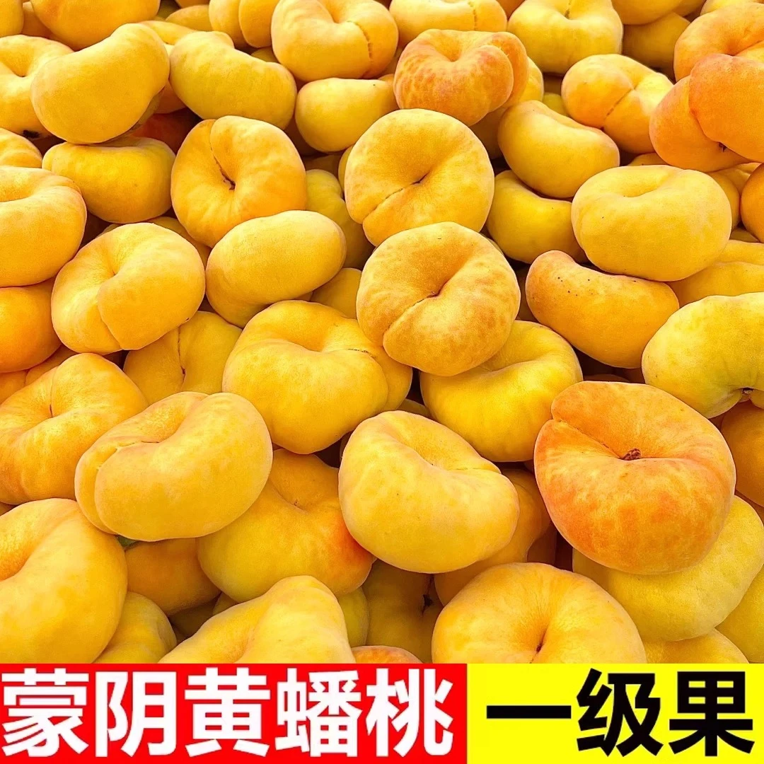 黄金蟠桃新鲜水果脆甜黄肉扁桃蒙阴蜜桃当季现摘现发黄蟠桃