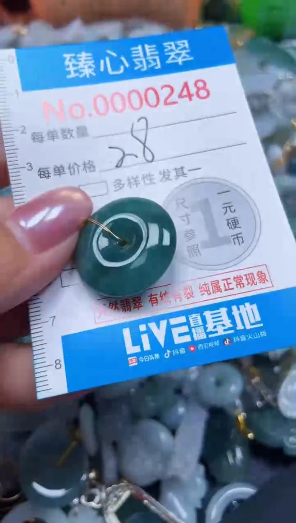 吊坠(不含链)未镶嵌翡翠248