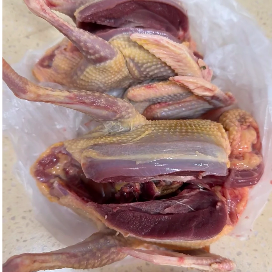 【孝笑书记推荐】安徽农家本地鸽子