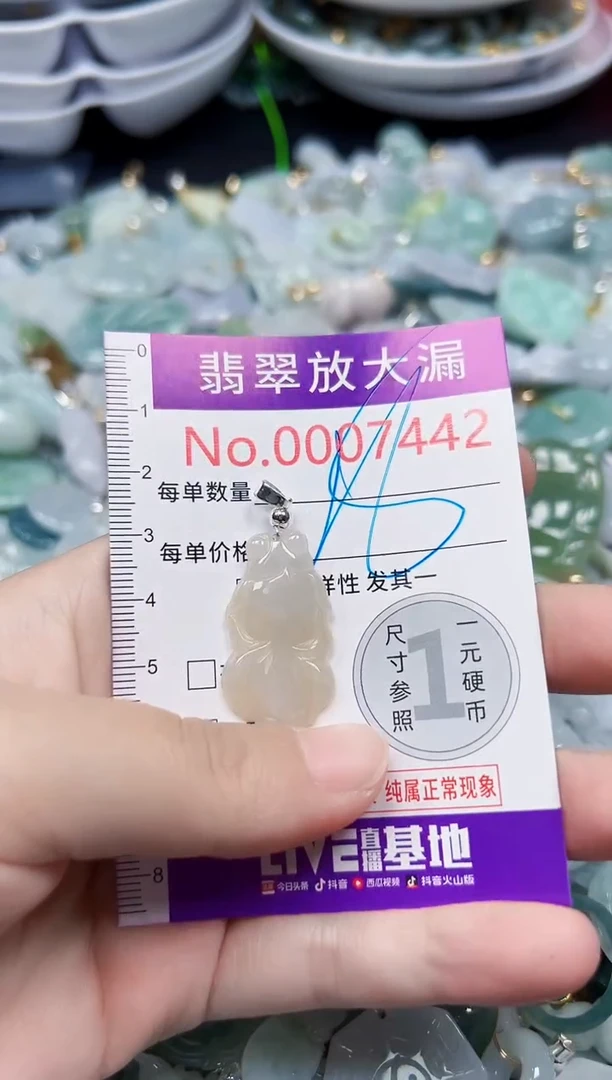 颈饰未镶嵌翡翠7442