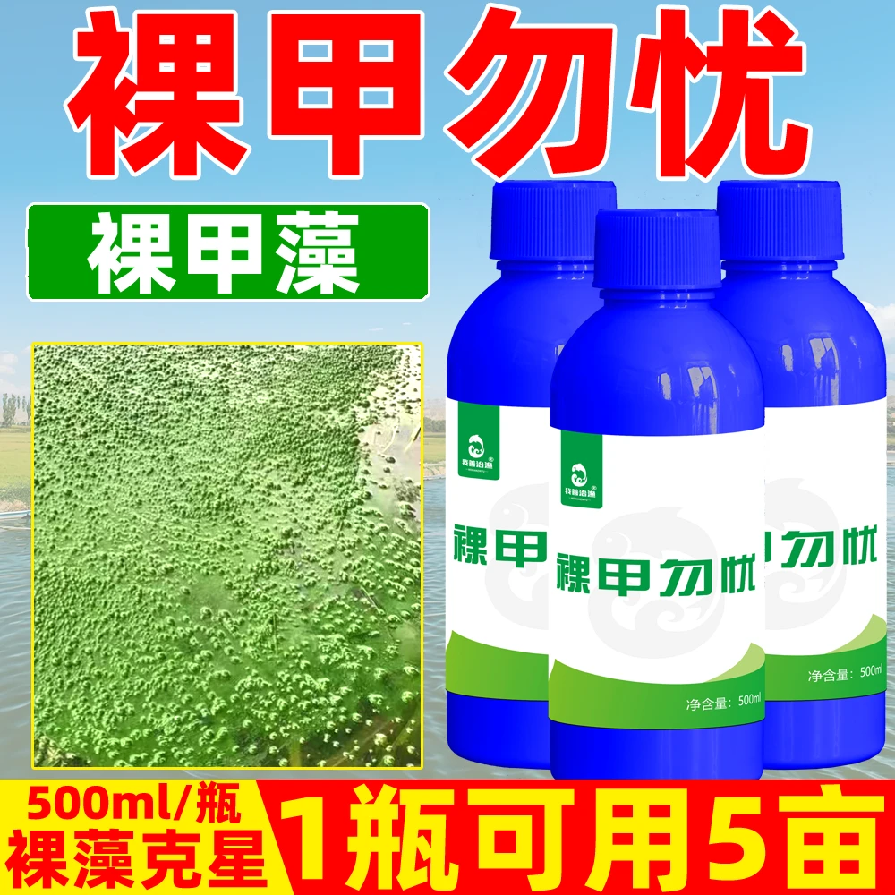 裸甲勿忧鱼塘铁浓绿水气泡水裸藻速灭水产养殖专用裸藻净除藻剂