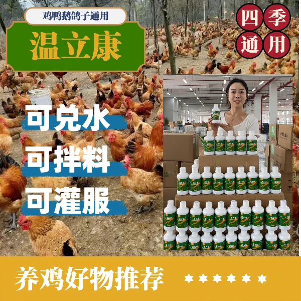 养鸡神器温立康【多买多送】农丰颐禽类常备养殖通用添加剂250ml