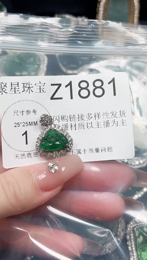 【闪购商品】翡翠颈饰未镶嵌 赠皮绳1881