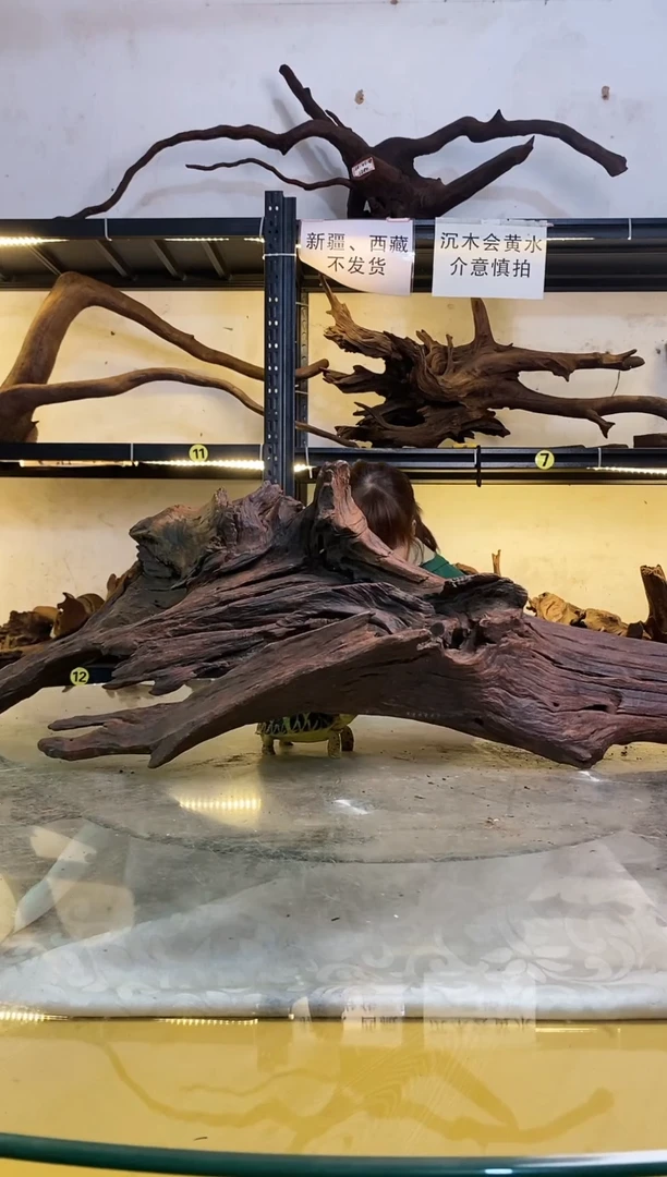 【闪购商品】柚木木艺鱼缸造景沉木175