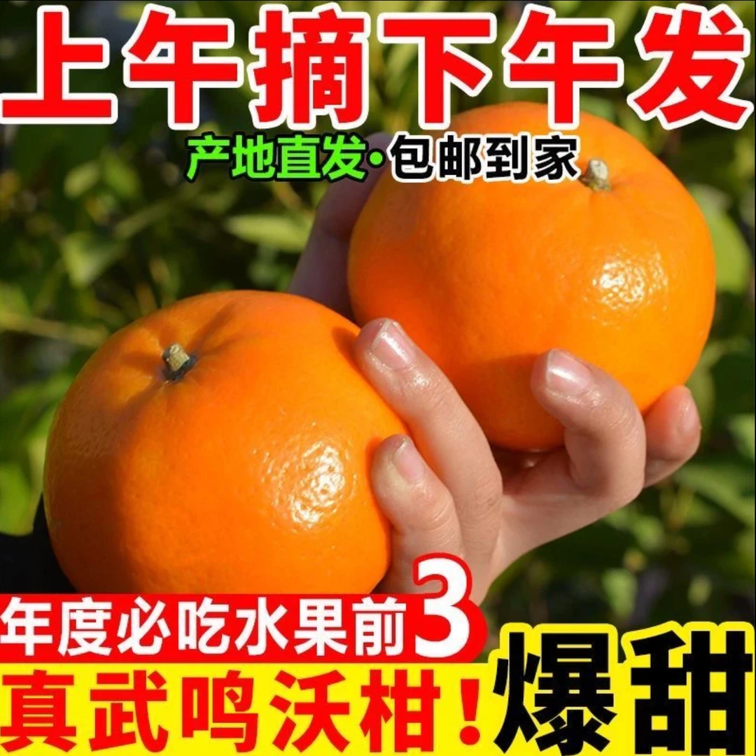 【大鹏和雪玲】正宗广西武鸣沃柑水果脆甜多汁新鲜采摘皮薄肉厚NS