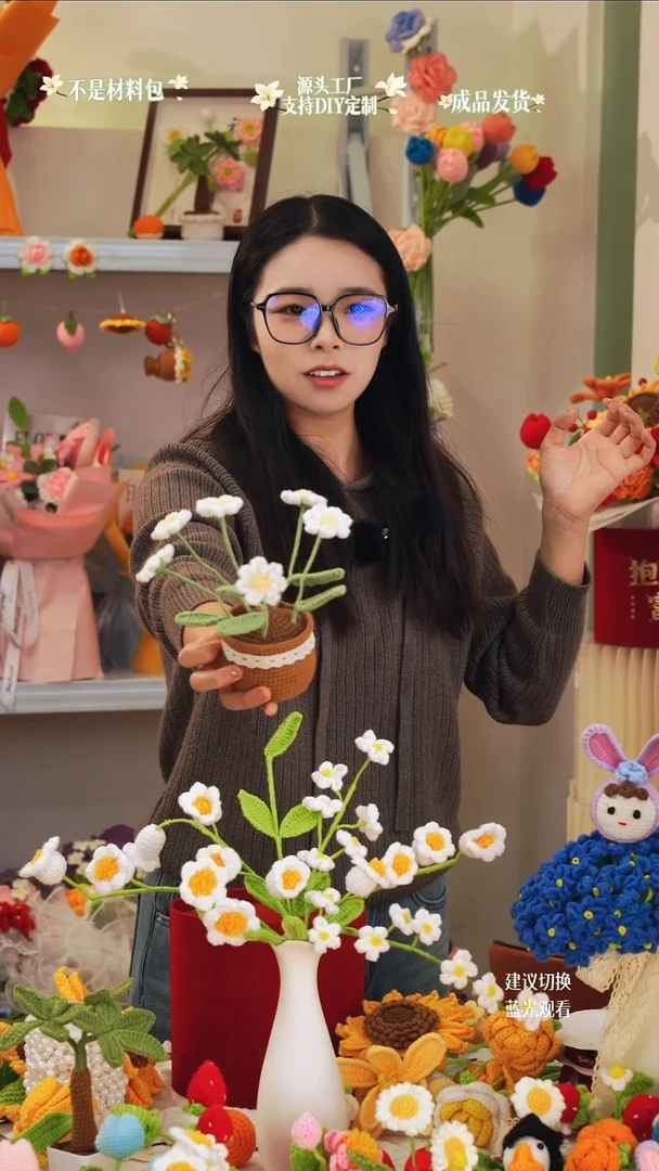 bbb家定制小雏菊盆栽