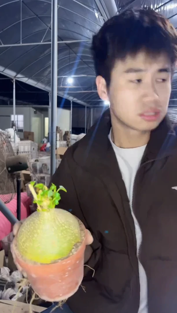 【闪购商品】睡布袋