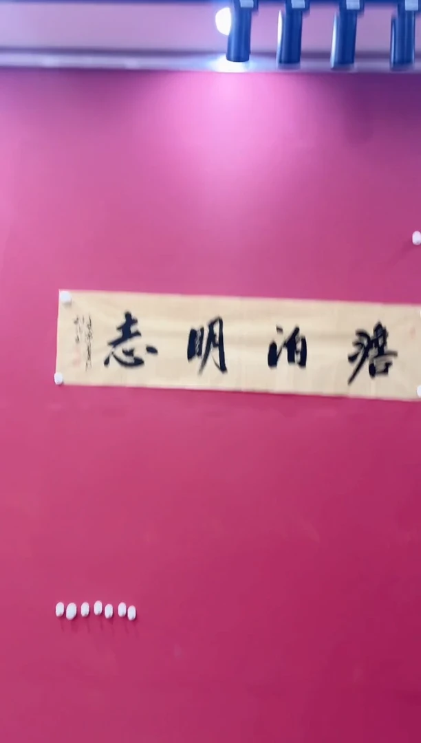 书法淡泊明志-冀州美术馆作品