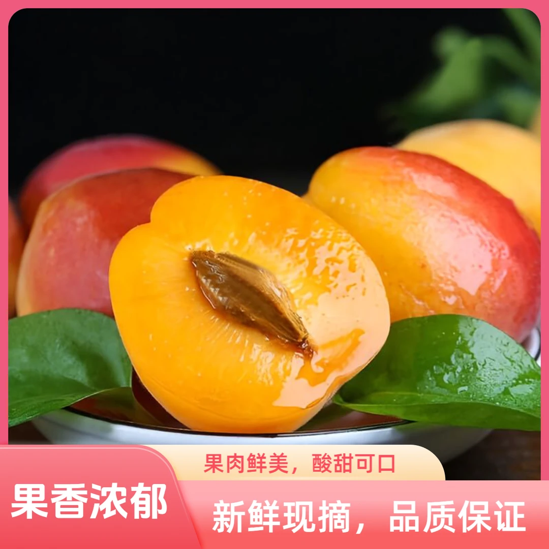 H山西运城头茬贵妃红杏新鲜当季水果酸甜可口孕妇优选！（甜核）