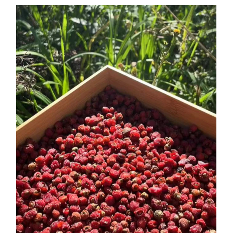 小花山货现收山货【红豆杉】