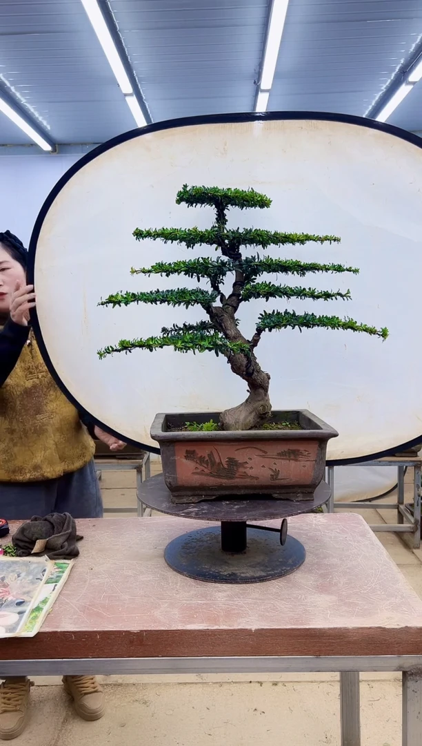 无花朵我***宝一物一拍，所见即所得