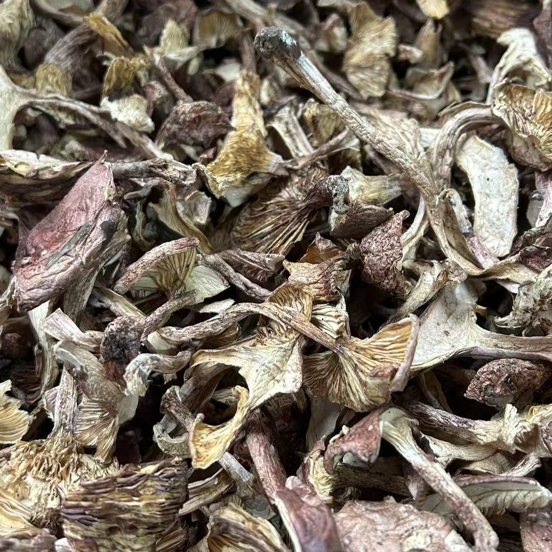 【云南特产野货紫丁香蘑菇】可煲汤做菜