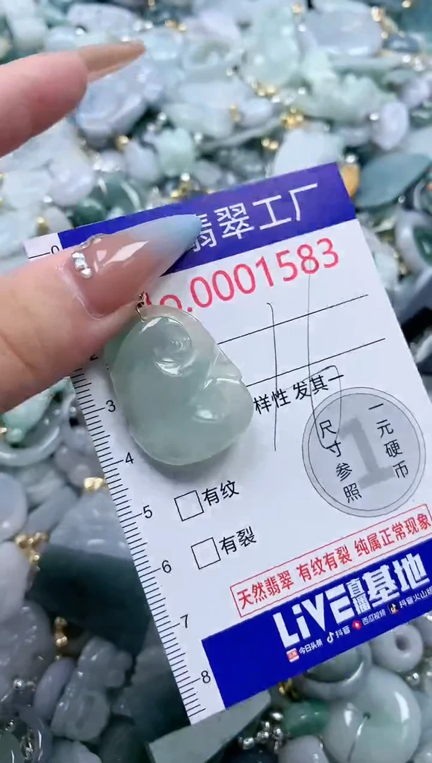 翡翠未镶嵌吊坠(不含链)1583