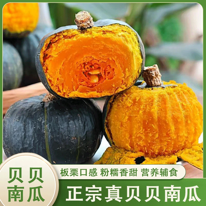 正宗贝贝南瓜整箱4.5斤(4-8个)单果250g以上 产地直发 不泡药水