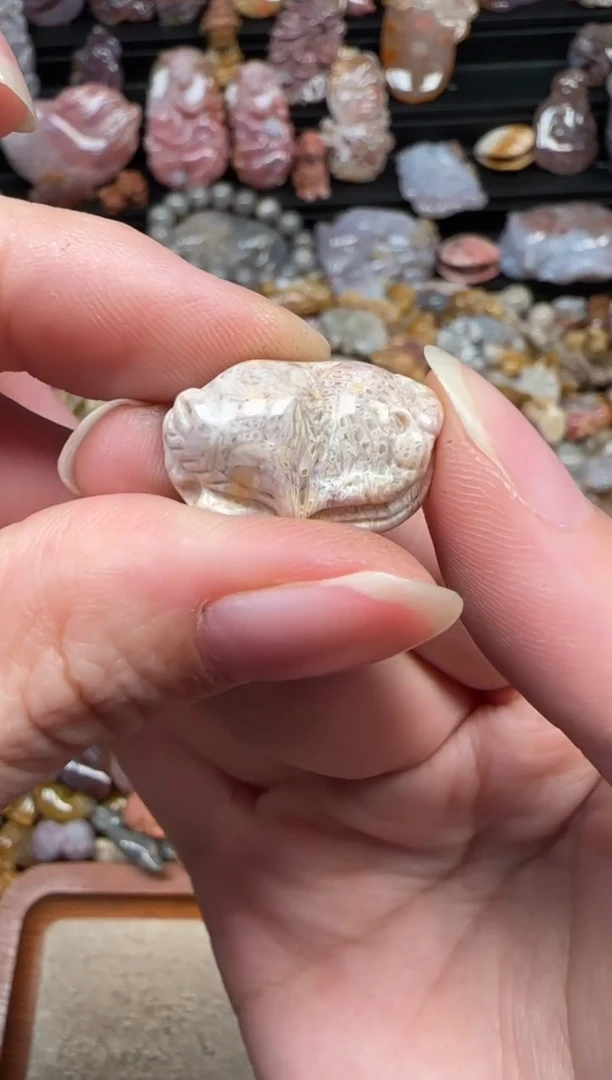 颈饰未镶嵌硅化珊瑚（珊瑚玉）380