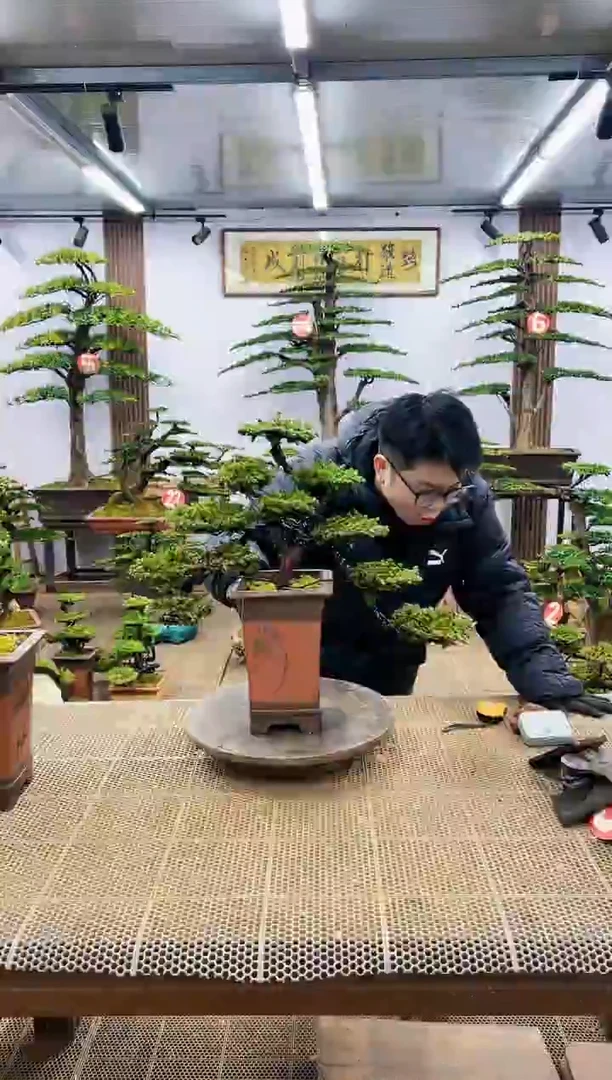 【闪购商品】一物一拍，所见即所得