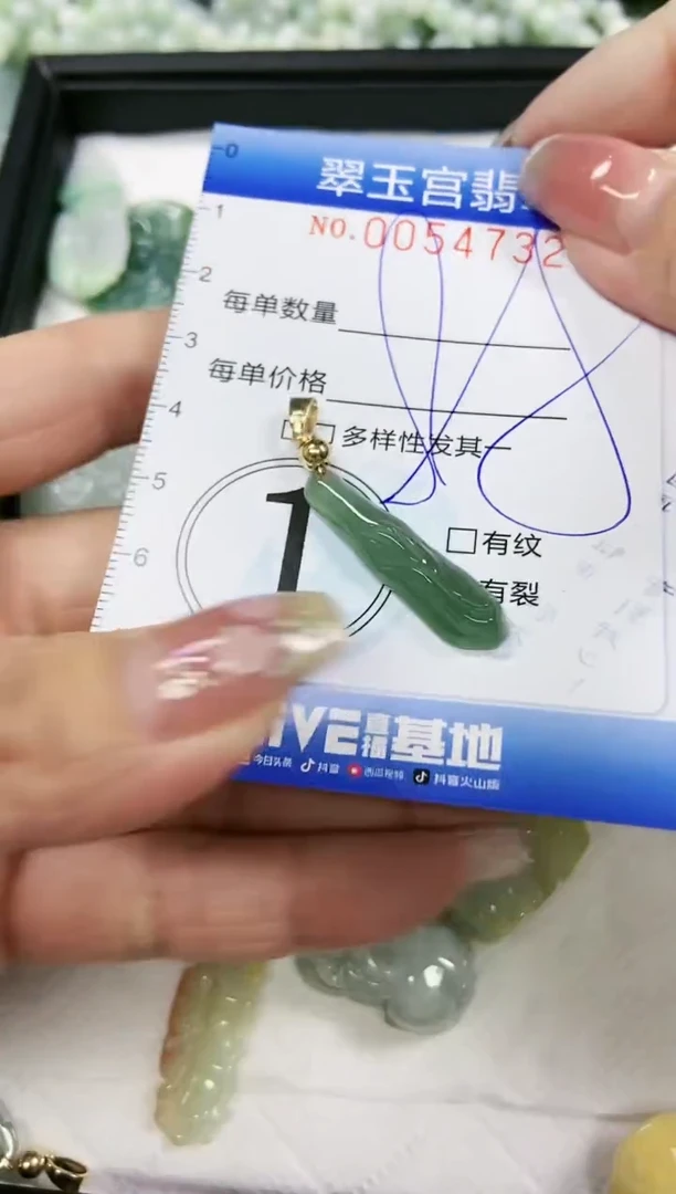 【闪购商品】翡翠颈饰未镶嵌闪购0054732