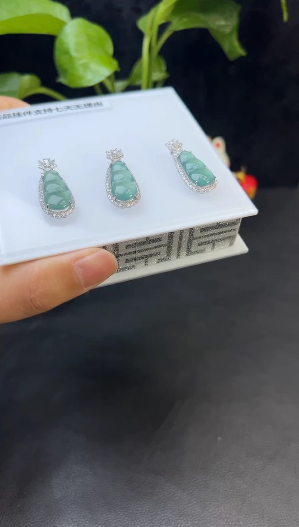 【闪购商品】翡翠颈饰银S925镶嵌008-50476多样性发一件