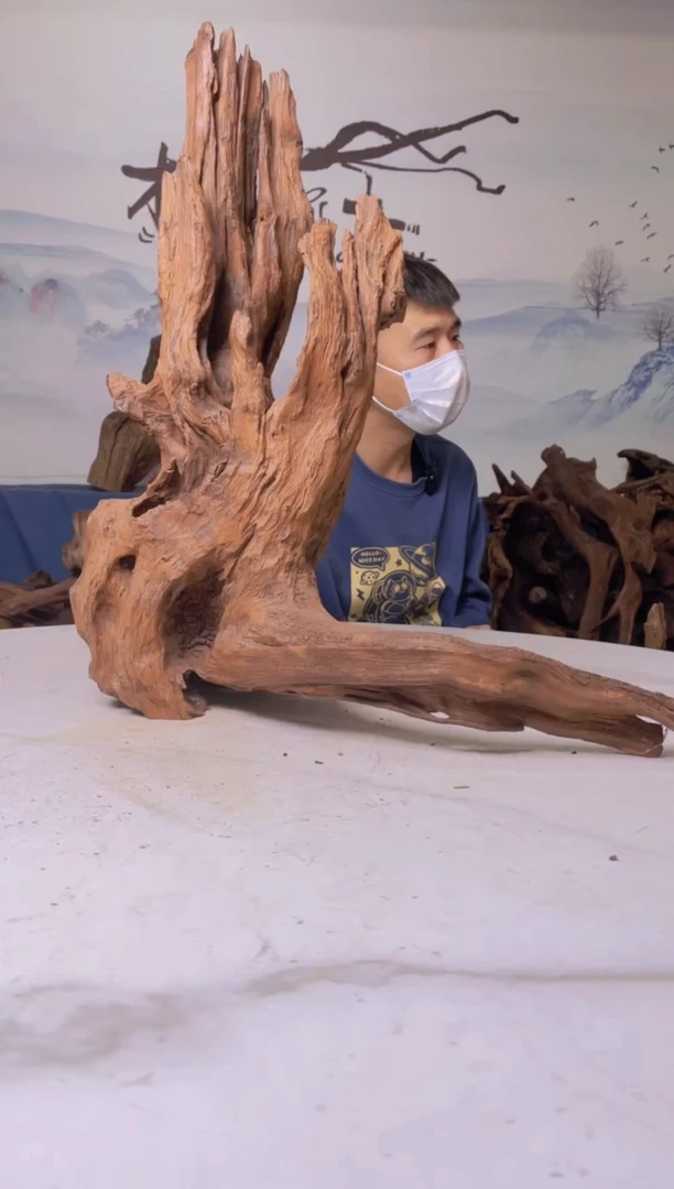 【闪购商品】a359木光沉木木光沉木