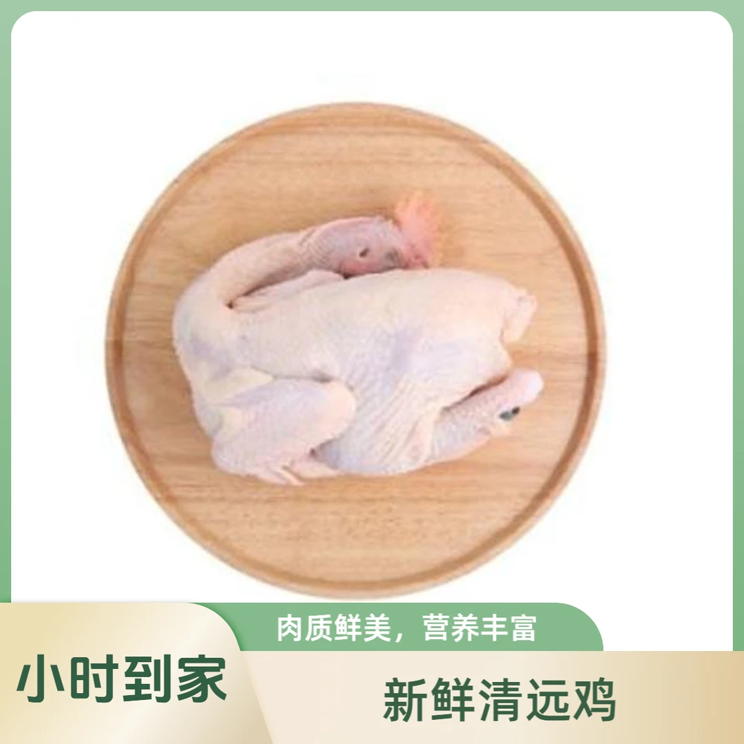 新鲜清远鸡 约1300g-1400g