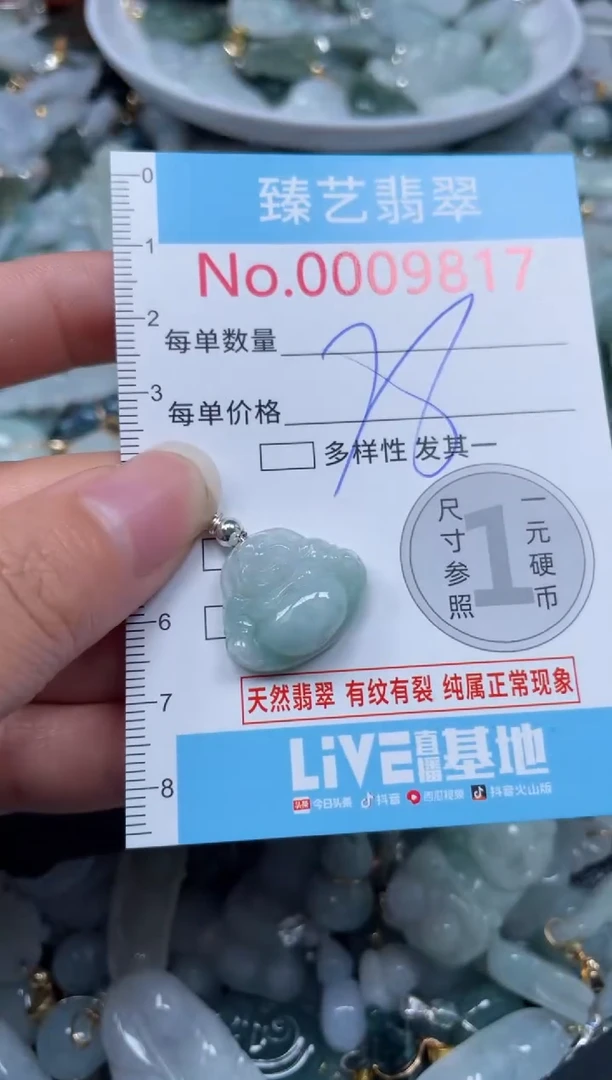 颈饰未镶嵌翡翠9817