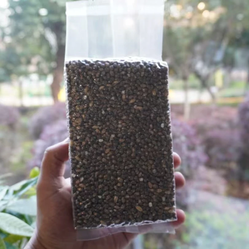 高原黑青稞 杂粮自然晒干