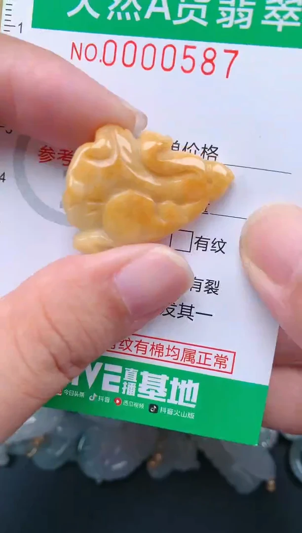 翡翠未镶嵌颈饰.0000587