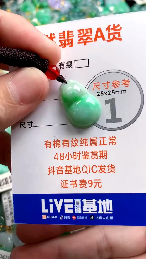 颈饰未镶嵌翡翠1019861439