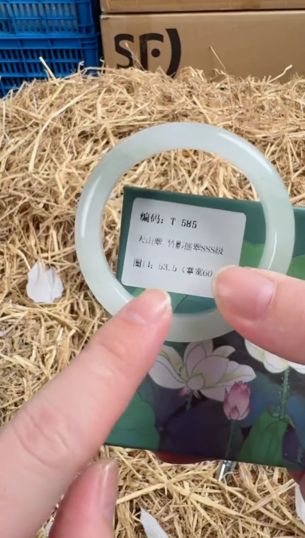 未镶嵌手镯石英质玉T-585