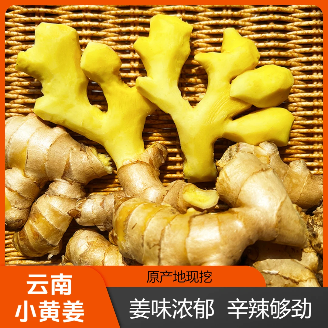 【精选3年老姜】香味浓郁辛辣够味现挖种植黄姜产地直销新鲜老姜