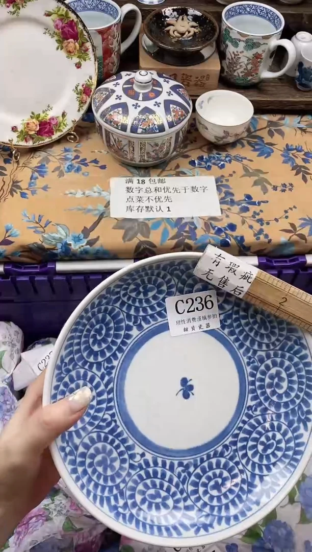 瓷片柳*柳                C236