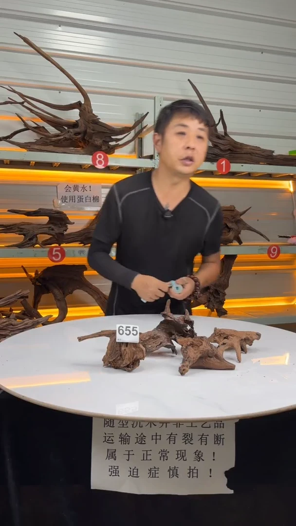 655料场直发 无上色打蜡 不需要煮 会黄水用蛋白棉
