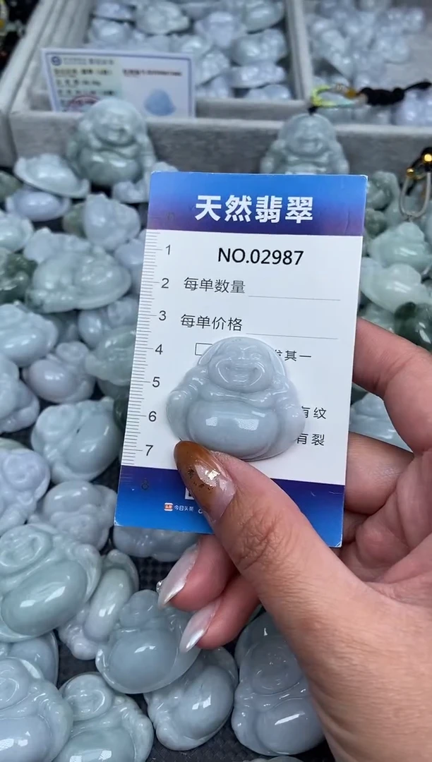 颈饰未镶嵌翡翠纯天然A货翡翠2987