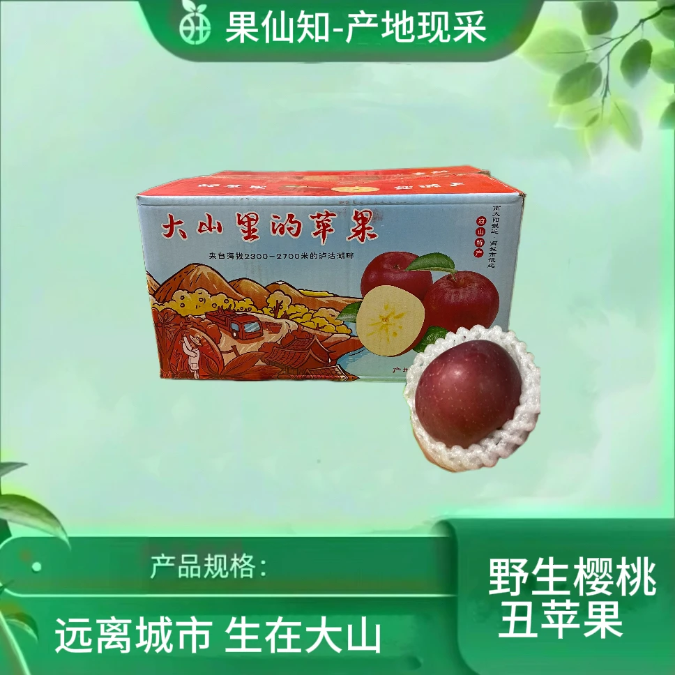 【泸沽湖珑玲丑苹果】【甜度炸弹-净8/箱】四川省