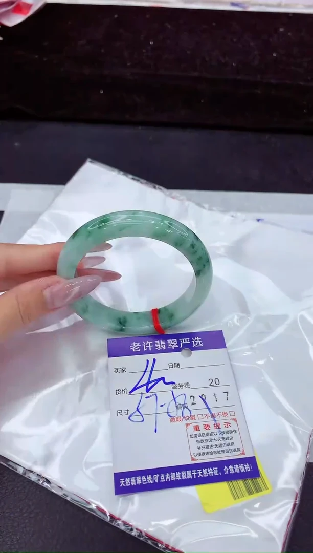 未镶嵌手镯翡翠1