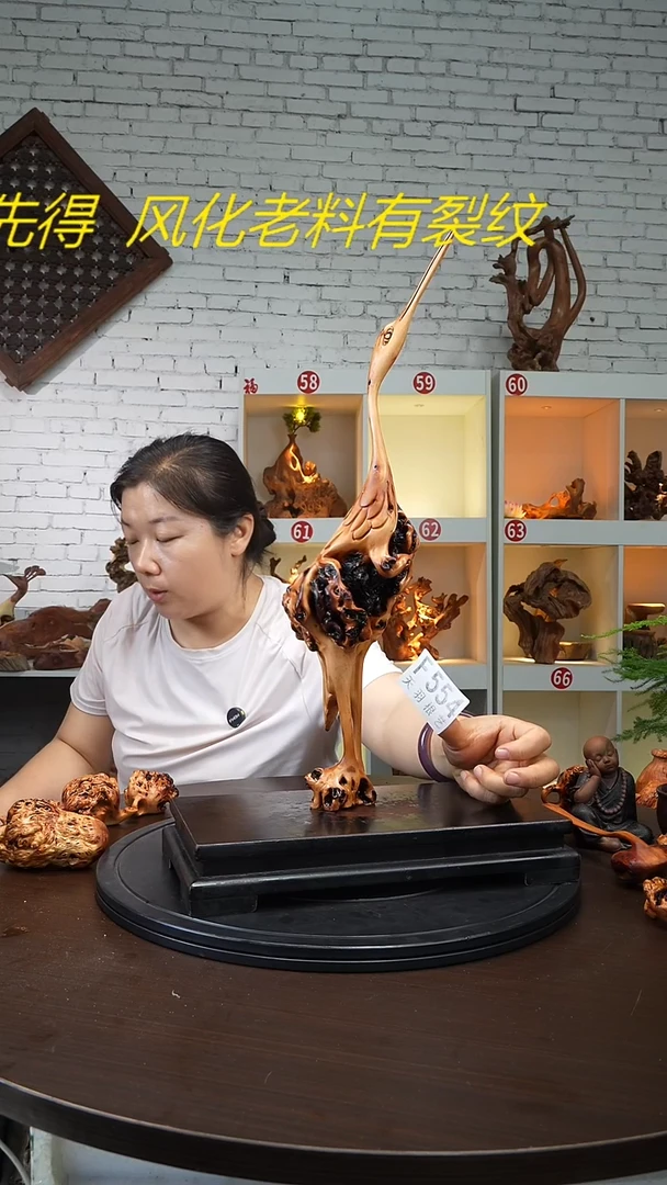 木云南黑果木仙鹤