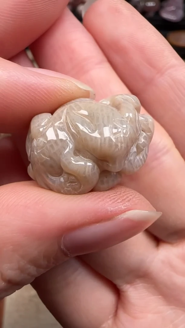 硅化珊瑚（珊瑚玉）未镶嵌颈饰941